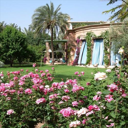 Dar Zemora Hotel Marrakesh Exterior photo